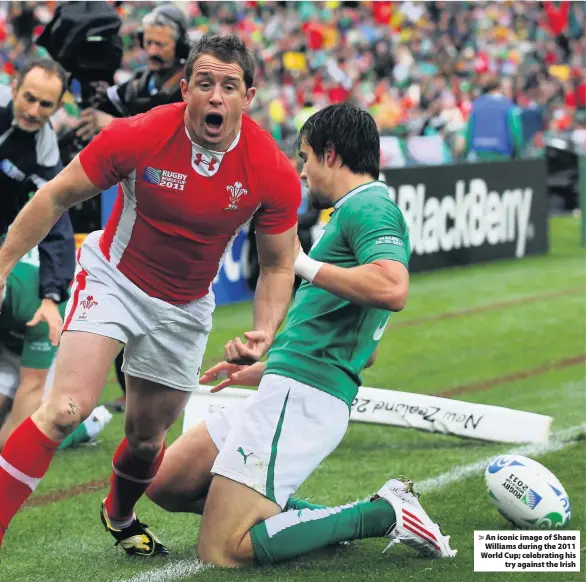  ??  ?? An iconic image of Shane Williams during the 2011 World Cup; celebratin­g his try against the Irish