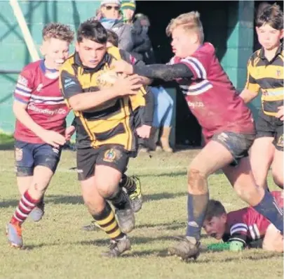  ??  ?? Hinckley RFC youngsters in action at the weekend. Pictures: Pascal Renault