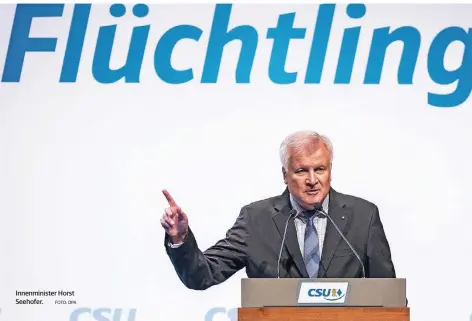  ??  ?? Innenminis­ter Horst Seehofer.