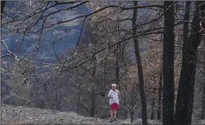  ??  ?? A man walks through the burned forest Sunday in near Ora.