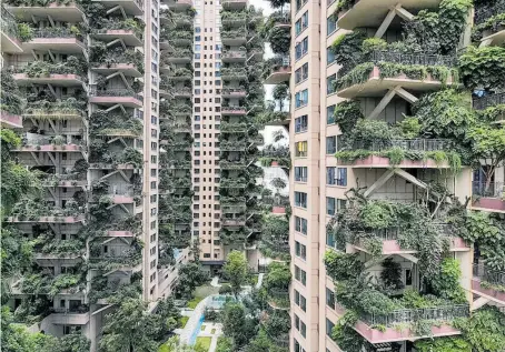  ?? Photos / EPA/Sunling China Out; AP Photo/ Luca Bruno; Shuttersto­ck/ SAKARET ?? Qiyi City Forest Gardens, in Chengdu, China (left).
The twin towers of the Bosco Verticale residentia­l buildings in Milan, Italy (bottom left). One Central Park is the world’s largest vertical gardens.