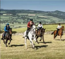  ??  ?? Right: riding in the Dartmoor Derby. Above: the vineyards of Trevibban Mill