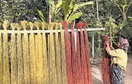  ??  ?? A woman dyes river reeds near the shores of the Mekong. Once dry, the reeds will be woven into sleeping mats often shared by families in Khmer homes.