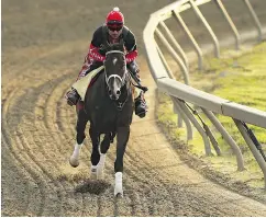  ?? PATRICK SMITH / GETTY IMAGES ?? Classic Empire trains on Thursday for Saturday’s Preakness Stakes at Pimlico.