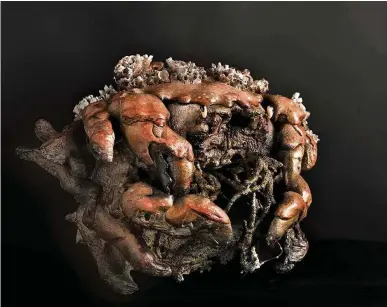  ?? (DR) ?? Un spécimen d’une des séries de crabes de Hydra en terre cuite, au préalable modélisé par un scanner 3D, puis cuit de façon fort rudimentai­re.