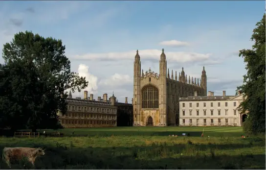  ??  ?? King’s College Chapel and its pristine lawn as seen from the meadow across the River Cam. The vogueish new wildflower meadow aims to provide a “biodiversi­ty-rich ecosystem”