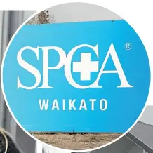  ?? PHOTO: DOMINICO ZAPATA/FAIRFAX NZ ?? The 2015 annual report shows the Waikato SPCA’s income at $1.2 million for the year ended December 31, 2015.
