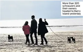  ??  ?? More than 320 schnauzers and their owners headed to Barry Island yesterday