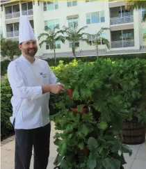  ??  ?? Vi at Bentley Village, a senior living community in Naples, is a BZP worksite, where executive chef Joel Hetrick cultivates on-site herbs and vegetables.