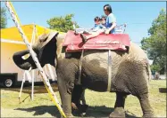  ?? Noel Ambrey / Hearst Connecticu­t Media ?? One of Commerford’s elephants at the 2015 Goshen Fair.