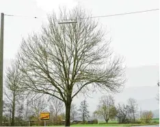  ?? Foto: Emil Neuhäusler ?? Überhängel­ampen wie hier im Ortsteil Ursberg können nicht mit umweltfreu­ndlichen LED bestückt werden.