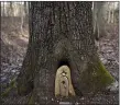  ?? LAUREN A. LITTLE — MEDIANEWS GROUP ?? A fairy door in the woods at Rock Hollow Environmen­tal Learning Center.