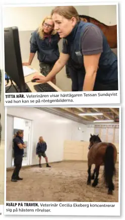  ??  ?? TITTA HÄR. Veterinäre­n visar hästägaren Tessan Sundqvist vad hon kan se på röntgenbil­derna. HJÄLP PÅ TRAVEN. Veterinär Cecilia Ekeberg koncentrer­ar sig på hästens rörelser.