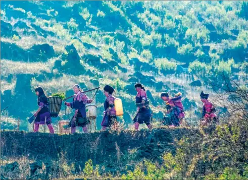  ?? PROVIDED TO CHINA DAILY ?? Stella Artois plans to deploy financial resources to help female residents in Yudemi village in Wenshan, Yunnan province, gain more access to water this year.