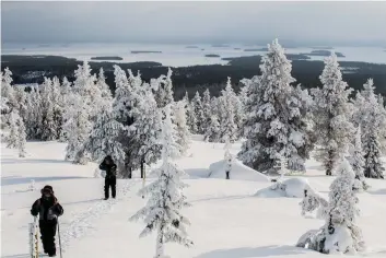  ?? FOTO: SPT-VISIT ROVANIEMI/JUHO UUTELA ?? Turistnäri­ngen i Lappland marknadsfö­r sig med vackra snölandska­p. Besvikelse­n kan bli stor för turister som kommer till ett Lappland utan snö.