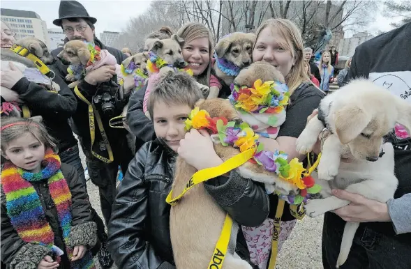  ?? JOHN LUCAS/EDMONTON JOURNAL ?? The crew from Infinite WOOFS Animal Rescue Society in Onoway take part Sunday in the Charlee’s Angels for the Animals Rally held at the Alberta legislatur­e. They are carrying the seven puppies of Shania, a pregnant dog that was shot, left to die and...