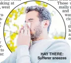  ??  ?? HAY THERE: Sufferer sneezes