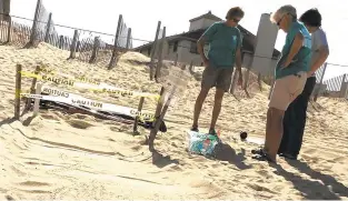  ?? COURTESY OF JAEFF HAMPTON ?? N.E.S.T. volunteers Peggy Cathey, left, and Margaret Janes talk with science adviser Karen Clark next to a sea turtle nest in Kitty Hawk, N.C. In the foreground are tracks left by baby sea turtles scrambling from the nest, surrounded by caution tape, to the ocean. Volunteers use a broom to brush crabs away from the babies.