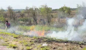  ??  ?? Un bombero trabaja arduamente para apagar el incendio en la Costanera Norte de Asunción.