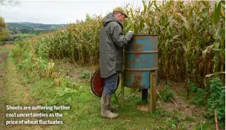  ?? ?? Shoots are suffering further cost uncertaint­ies as the price of wheat fluctuates