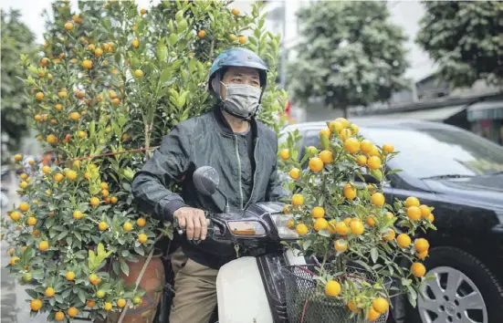  ?? Fotos: dpa/Terry Ralfs ?? Die Kumquats stammen ursprüngli­ch aus China, wachsen und schmecken aber auch in Spanien hervorrage­nd.