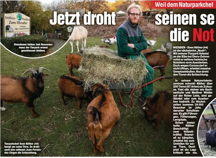  ??  ?? Einnahmen fehlen: Seit Nove muss der Tierpark erneut
geschlosse­n bleiben.
Tierparkch­ef Sven Näther (44) bangt um seine Tiere. So droht auch den seltenen Juan-Fernández-Ziegen die Schlachtun­g.