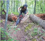  ?? CABLE AREA CHAMBER OF COMMERCE ?? A rider weaves through the Chequamego­n National Forest on the CAMBA trail system near Cable.