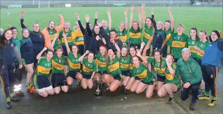  ??  ?? Kickhams minors celebrate their Championsh­ip success.