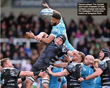 Falcons keen to make last home game count - PressReader