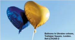  ?? ?? Balloons in Ukraine colours, Trafalgar Square, London. Ref:134266-2