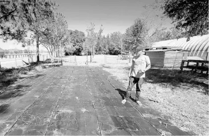  ?? JOE BURBANK/STAFF FILE PHOTO ?? Zach Kauffman surveys the spot that used to be his tomato growhouse at Zenn Naturals in Eustis last October. The growhouse was blown away during Hurricane Irma. The legislatur­e approved storm-related money for farm repairs and more before its annual...