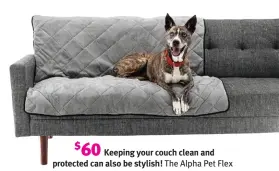  ?? ?? $60
Keeping your couch clean and protected can also be stylish! The Alpha Pet Flex Waterproof Couch Cover not only looks good and prevents damage to your couch, it’s comfy too. Machine washable and vacuumable, it features a noslip backing and seat anchors to help it stay in place on any couch. bit.ly/alphapetfl­exmoddog