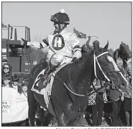  ?? Arkansas Democrat-Gazette/THOMAS METTHE ?? Jon Court celebrates in the winner’s circle after Long Range Toddy won the first division of the Rebel Stakes on Saturday at Oaklawn Park in Hot Springs. Long Range Toddy won by a neck over Improbable in 1:42.49.