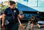  ?? ?? A handler commanding her dog during a search and rescue program.