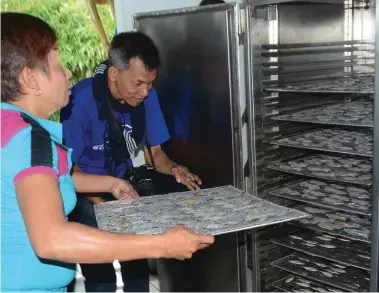  ??  ?? The solar-powered fish dryer is powered by eight solar panels and made of stainless steel. It is capable of drying 20 kilos of fish in six hours.