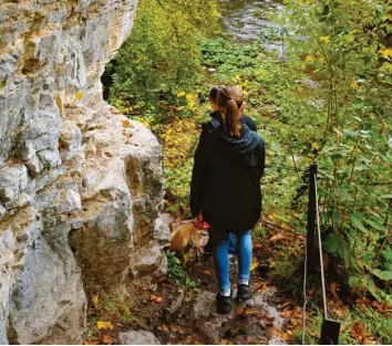  ?? Fotos: Ulrike Bäuerle ?? Etwa 100 000 Menschen gehen jährlich durch die wilde Schlucht, die zwischen Freiburg und Konstanz liegt. Die Corona‰Pandemie führte dazu, dass es zeitweise richtig voll wurde.