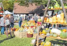  ?? FOTO: LANDRATSAM­T BIBERACH ?? Herbstlich­es Markttreib­en bei strahlende­m Sonnensche­in im Museumsdor­f Kürnbach.