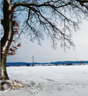  ?? Foto: Thorsten Jordan ?? Die stillen Tage zwischen Weihnachte­n und Dreikönig mit den zwölf Raunächten laden zur Besinnung ein, vielleicht auch bei ei nem Winterspaz­iergang (hier bei Stoffen, Landkreis Landsberg).