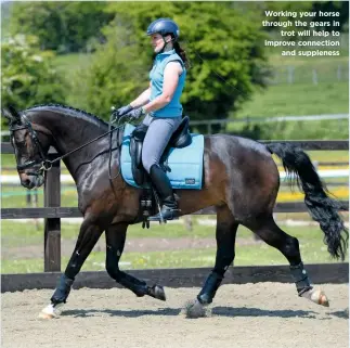  ??  ?? Working your horse through the gears in trot will help to improve connection and suppleness