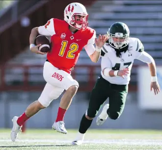  ?? DAVID MOLL ?? Dinos quarterbac­k Adam Sinagra, who set a U Sports single-season passing record this season, will face the Manitoba Bisons’ defence in the first round of the Canada West football playdowns on Saturday.