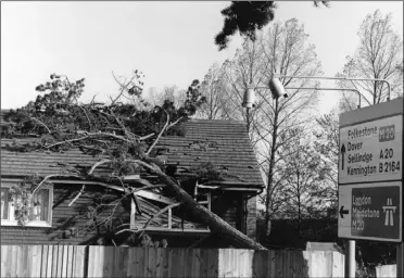  ?? Picture: Steve Salter ?? A tree fell through the roof of a house in Hythe Road, Ashford