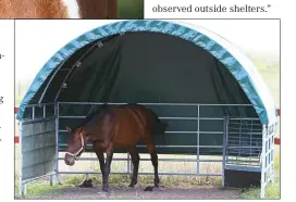  ??  ?? RESPITE: In a new study, horses showed a marked preference for sheds with three sides, which offered greater protection from insects.