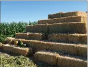  ?? MICHAEL WEBER — ENTERPRISE-RECORD ?? Pumpkins rest on a hay bale pyramid Thursday at Country Pumpkins in Orland.