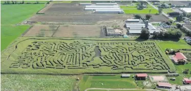  ??  ?? The maze is in the shape of Terry Fox running, with an outline of Canada behind him.