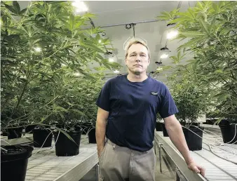  ?? CHRIS ROUSSAKIS / BLOOMBERG FILE PHOTO ?? Bruce Linton, CEO of Canopy Growth Corp. at their Smiths Falls, Ont., facility.