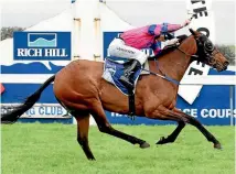  ?? RACE IMAGES ?? Last year’s winner Underthemo­onlight is attracting punters’ attention for this year’s Taranaki Breeders.