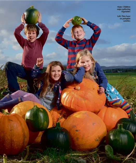  ??  ?? Main: Children enjoy gathering vegetables Left: They have six pumpkin varieties