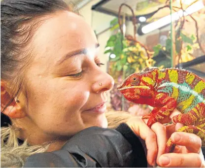  ?? Picture: PA. ?? Shopper Lianne Lloyd, from Arbroath, with one of Laura Christie’s reptiles.