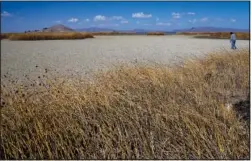  ?? ?? An Aymara man walks July 27 on the dry cracked bed of Lake Titicaca.