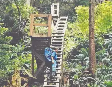  ?? GREG OLSEN ?? Hikers must ascend more than 100 ladders positioned along the arduous, 75-kilometre West Coast Trail in British Columbia.